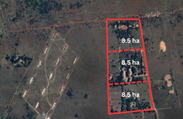 1 | Prime 25.5-Hectare Plot